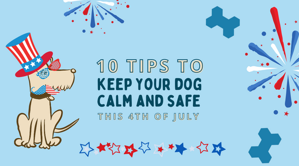 10 Tips to Keep your Dog Calm and Safe during July 4th Fireworks