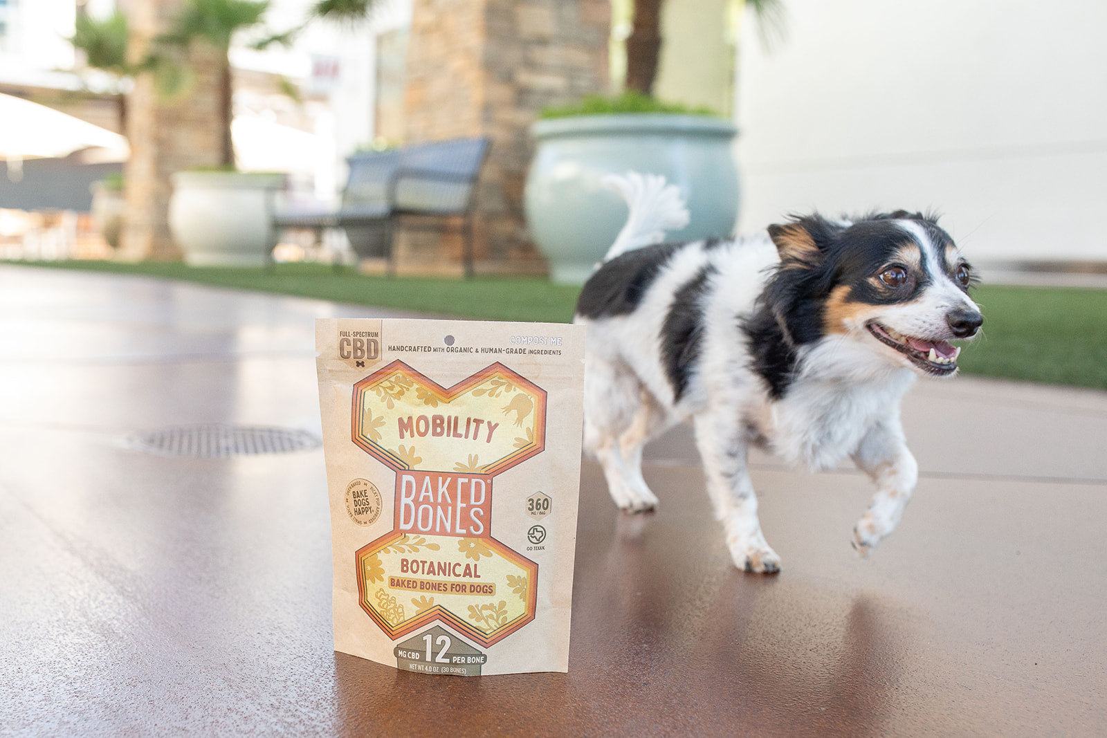 MOBILITY BONES – BakedBones