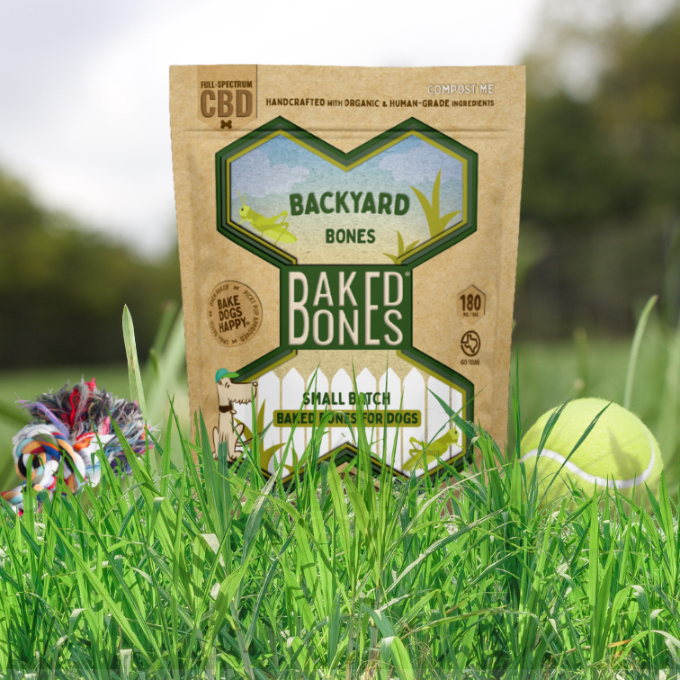 Close-up photograph of a Kraft bag of BakedBones with a green bone and “BACKYARD BONES,” “SMALL BATCH BAKED BONES FOR DOGS” on the front.  The bag is sitting in semi-tall grass with a yellow tennis ball and multi-colored rope chew toy visible on either side of the bag