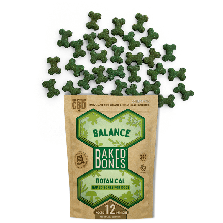 Green baked dog bones spilling out of a Kraft BakedBones bag with a green bone and 