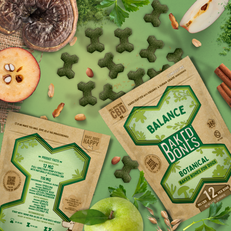 Enticing image including green baked bones pouring out of two Kraft and green bags of BakedBones, cut apples, parsley, shelled peanuts, cinnamon, and reishi mushroom, all against a green background