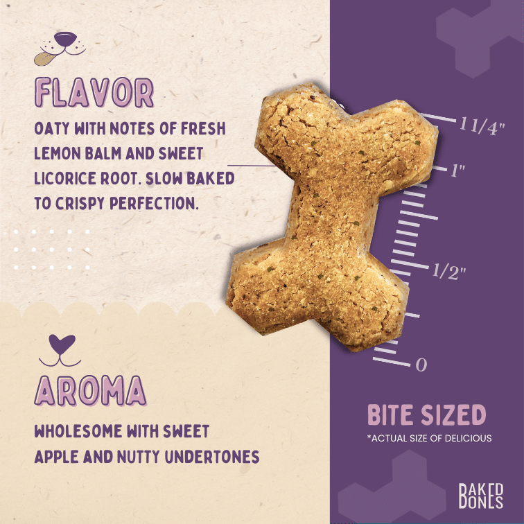 Image of a BakedBones CBD bone zoomed in to the actual size and placed against a ruler showing it to be 1 1/4 inch, as well as descriptive words for the flavor (oaty with notes of fresh lemon balm and sweet licorice root, slow baked to crispy perfection) and the aroma (wholesome with sweet and nutty undertones)