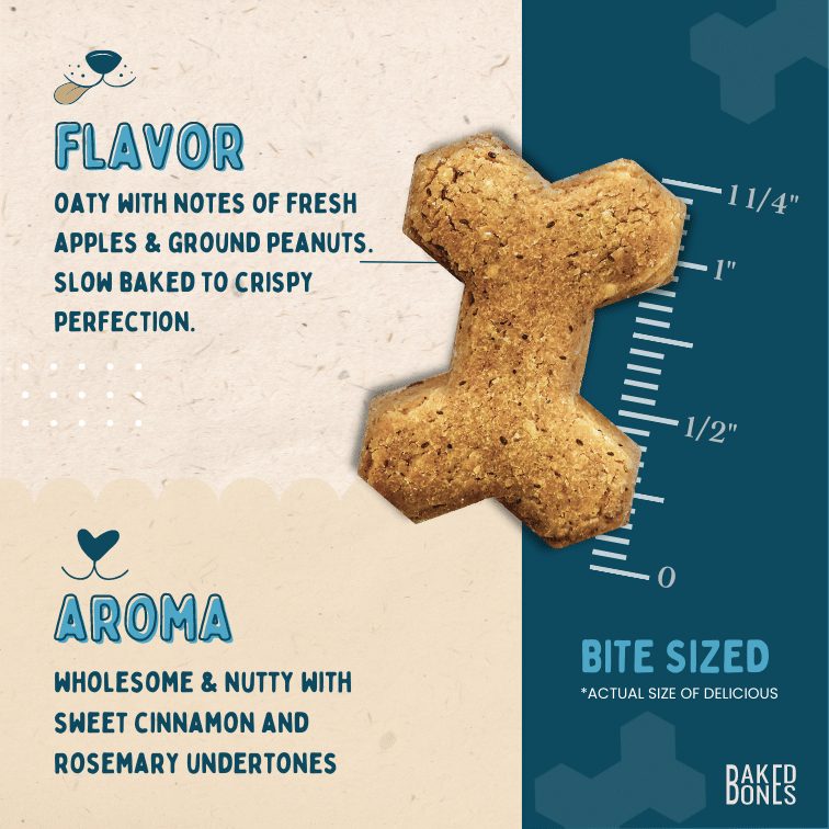 Image of a BakedBones CBD bone zoomed in to the actual size and placed against a ruler showing it to be 1 1/4 inch, as well as descriptive words for the flavor (oaty with notes of fresh apples and ground peanuts, slow baked to crispy perfection) and the aroma (wholesome and nutty with sweet cinnamon and rosemary undertones)