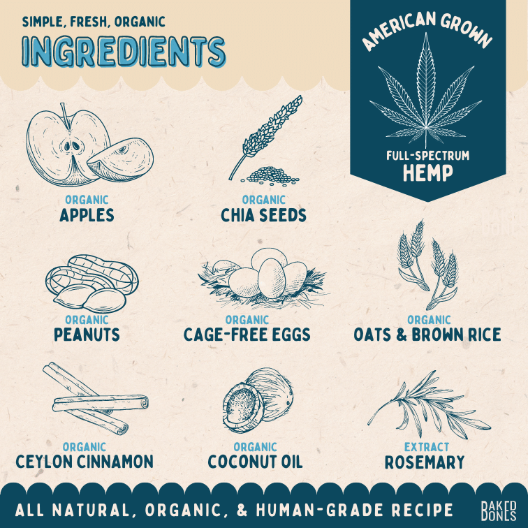 This image displays illustrations for each of the simple, fresh, organic ingredients in the Peanut Butter and Apple CBD bones: American grown full-spectrum hemp, organic apples, organic chia seeds, organic peanuts, organic cage-free eggs, organic oats and brown rice, organic Ceylon cinnamon, organic coconut oil, and rosemary extract.  “All natural, organic, and human-grade recipe.”