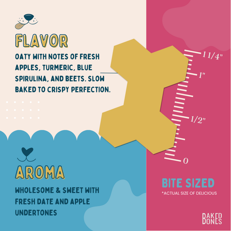 Illustration of a BakedBones CBD bone zoomed in to the actual size and placed against a ruler showing it to be 1 1/4 inch, as well as descriptive words for the flavor (oaty with notes of fresh apples, turmeric, blue spirulina, and beets. Slow baked to crispy perfection) and the aroma (wholesome and sweet with fresh date and apple undertones)