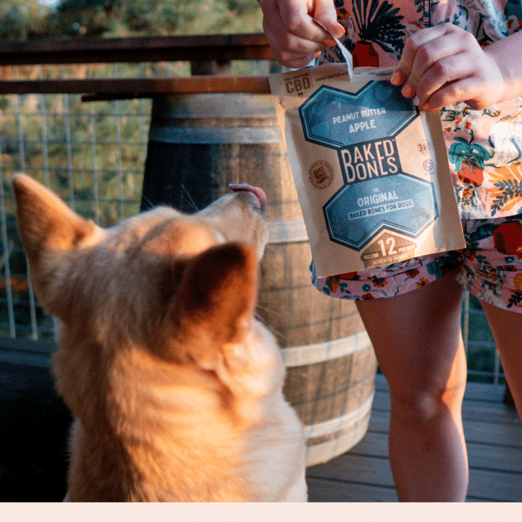 Close up photographs of a person opening a bag of BakedBones with a blue bone on the front, and a short-haired light brown dog licking her lips in anticipation.