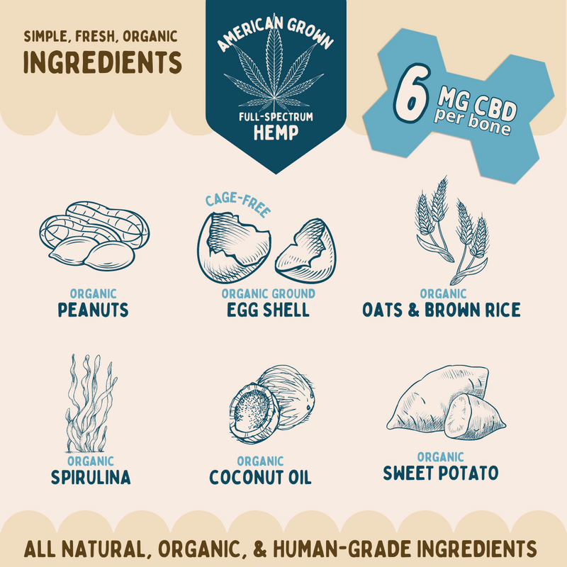 This image displays illustrations for each of the simple, fresh, organic ingredients in the Green Eggs and Yam CBD bones: American grown full-spectrum hemp, organic peanuts, organic ground cage free eggshells, organic oats and brown rice, organic spirulina, organic coconut oil, and organic sweet potato.  “All natural, organic, and human-grade recipe.”