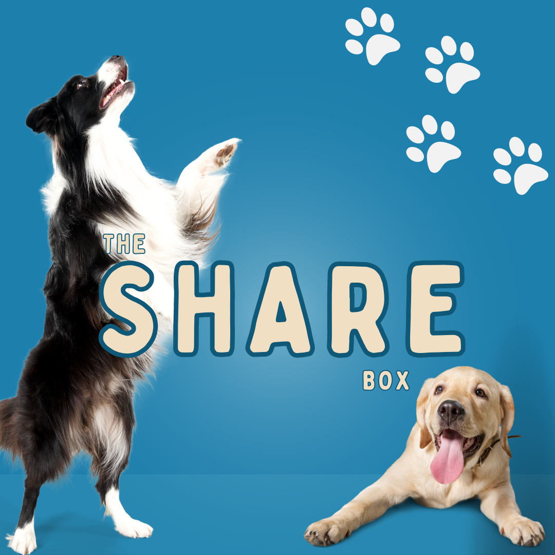THE SHARE BOX